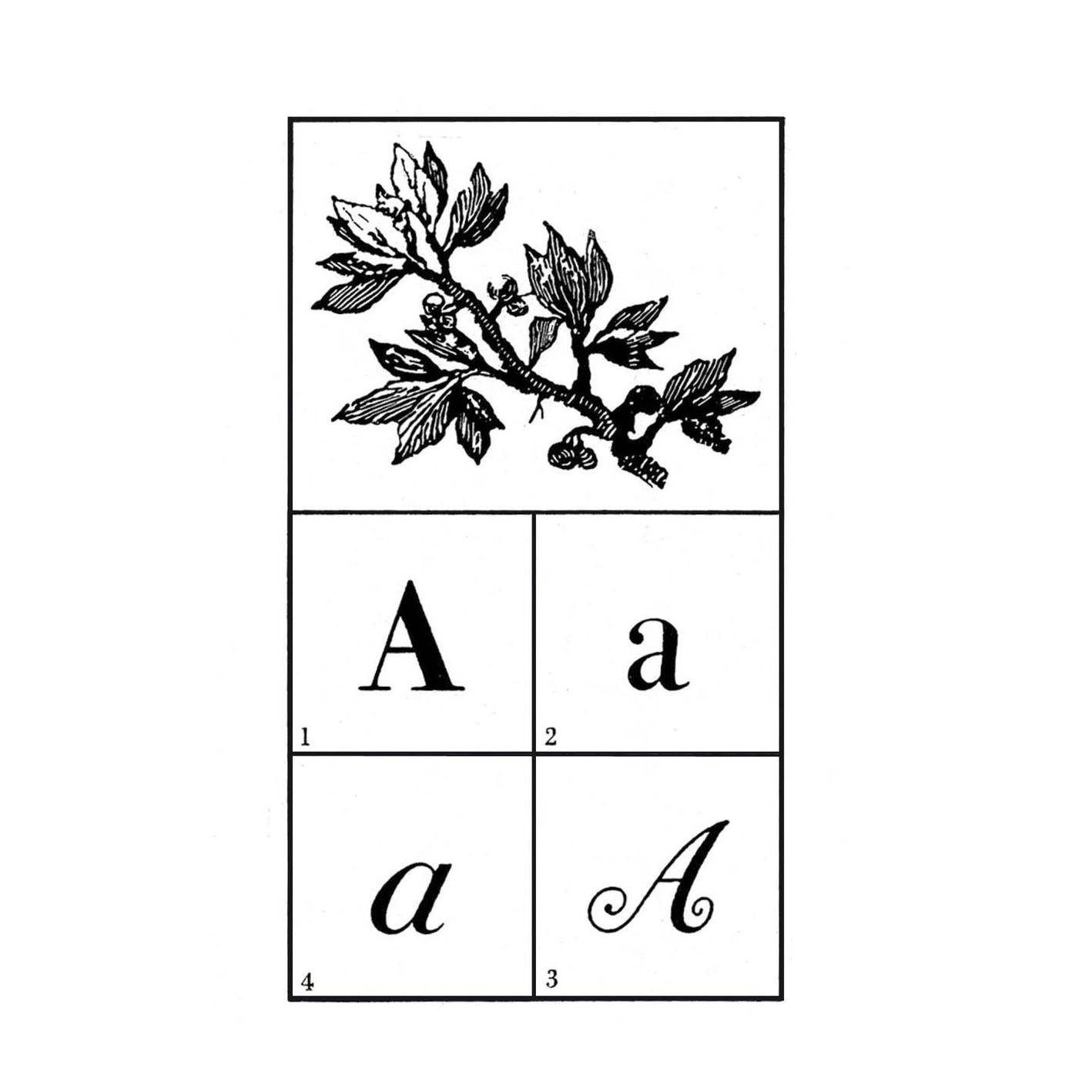 Lectures sous l'arbre Lectures sous l'arbre