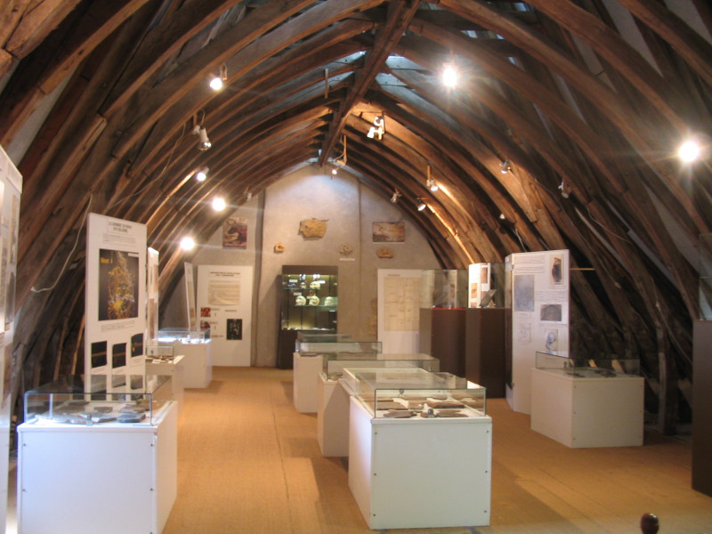 Musée Paléontologique