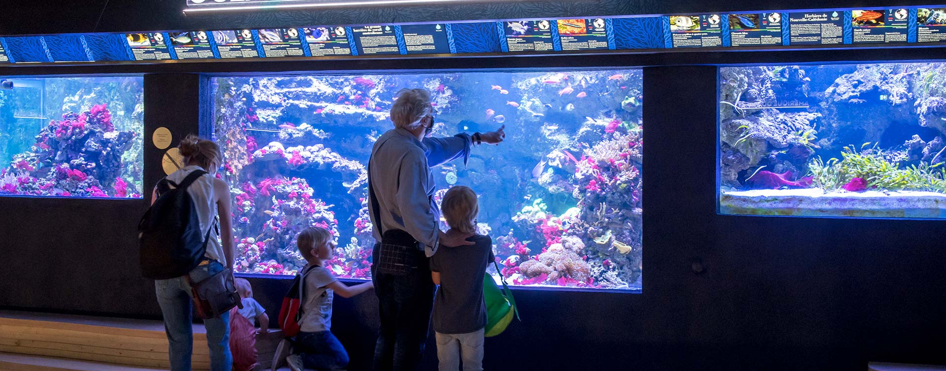 Etablissement public de la Porte Dorée - Aquarium Tropical