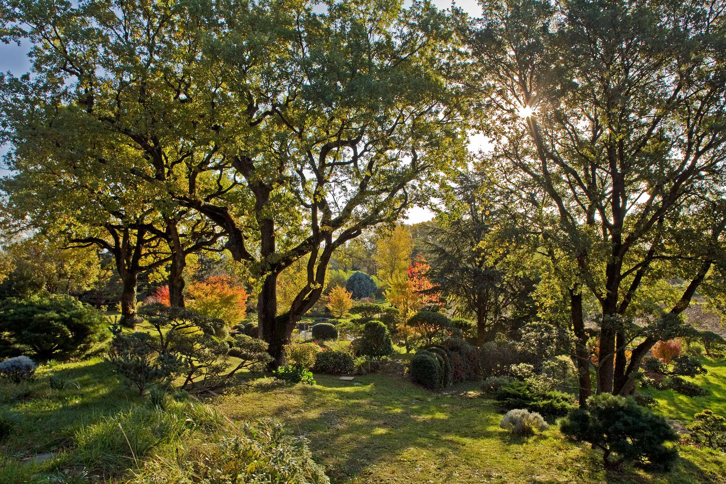 Jardin zen d’Erik Borja