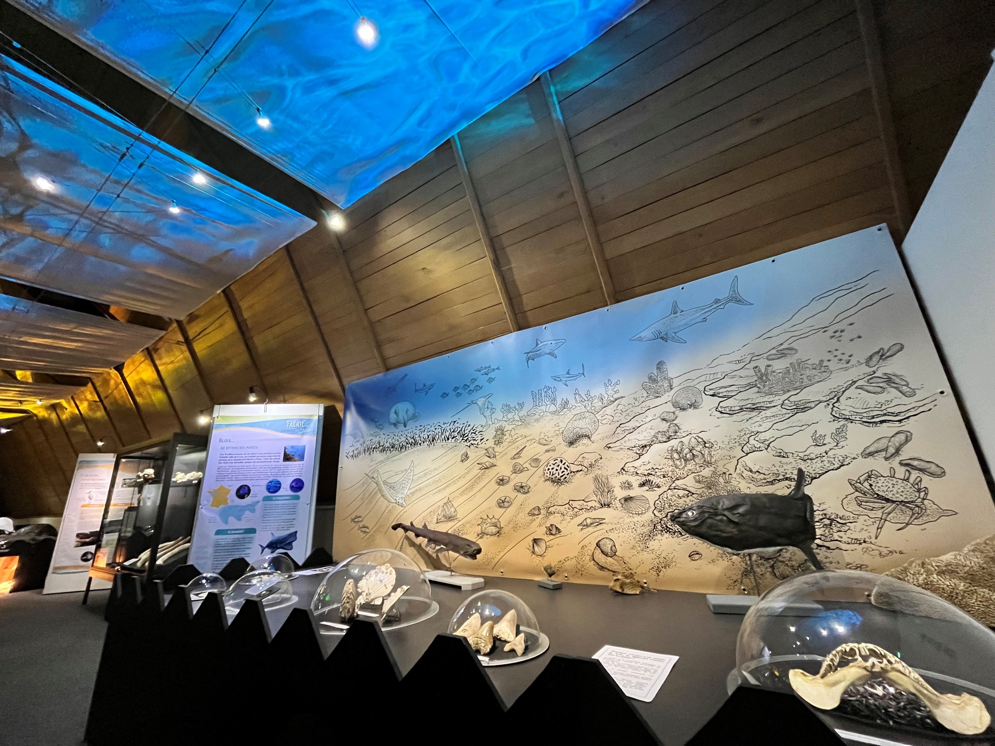 Muséum d'Histoire Naturelle