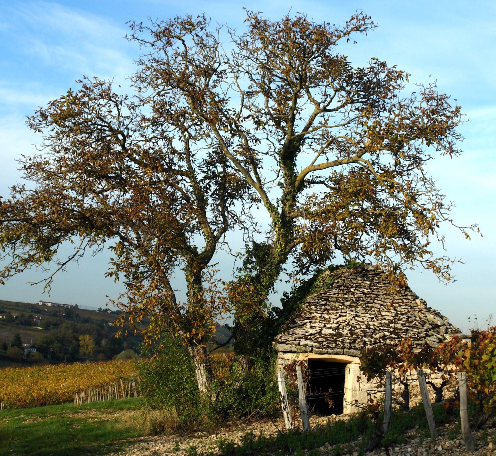 Pomerium association d'histoire locale et de patrimoine