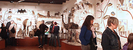Muséum d'Histoire Naturelle Henri-Lecoq