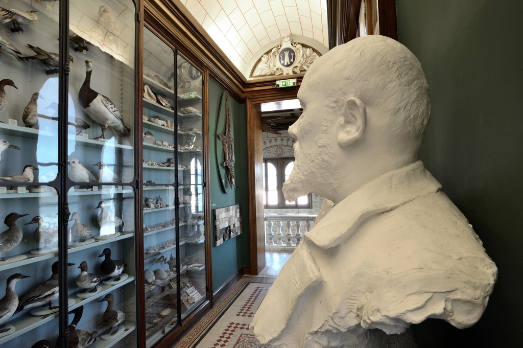 Musée Joseph Denais