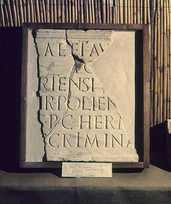 Musée d'Archéologie Tricastine