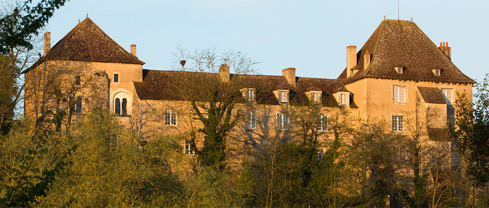 Musée Ornithologique (Ecomusée de la Brenne)