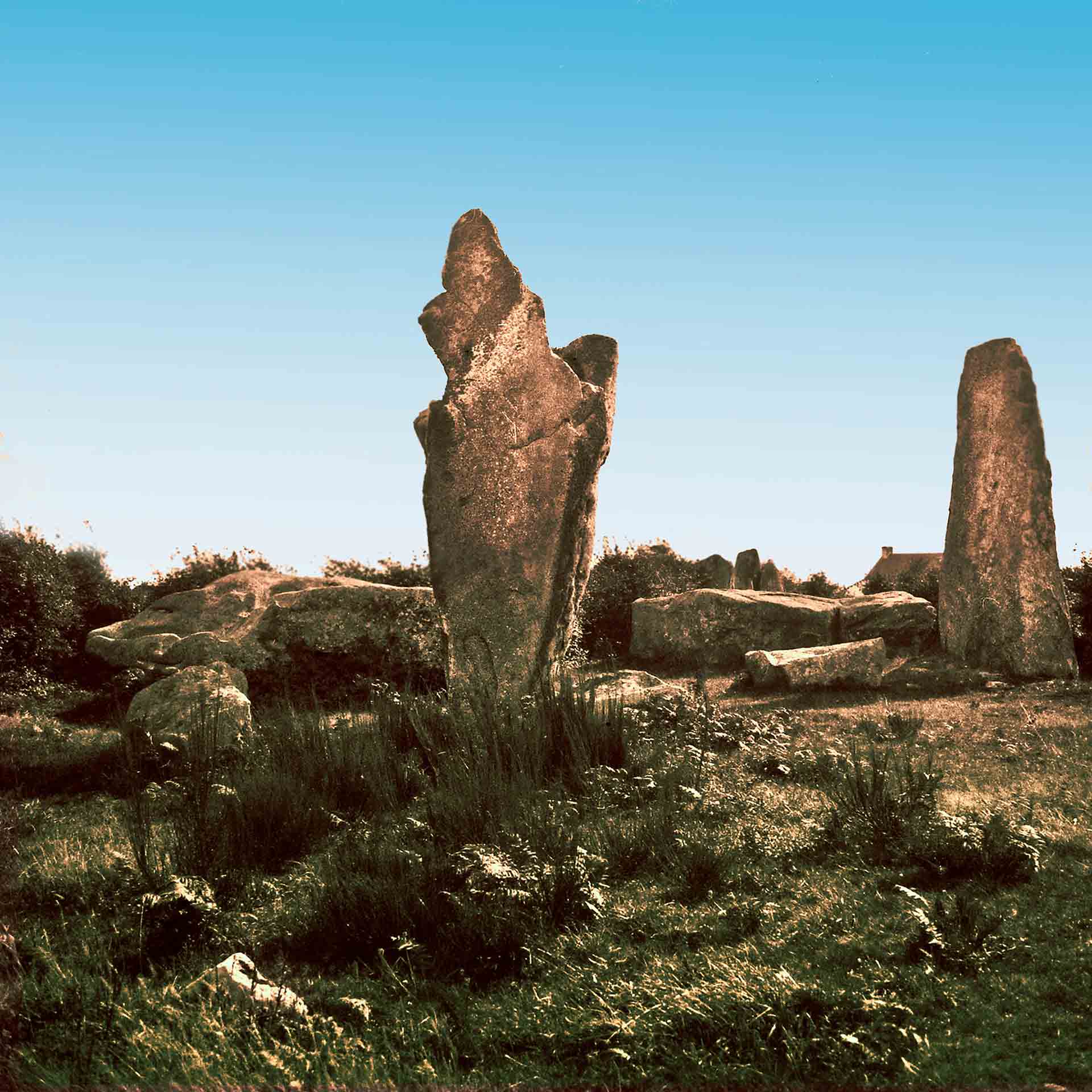 Musée de Préhistoire J. Miln- Z. Le-Rouzic