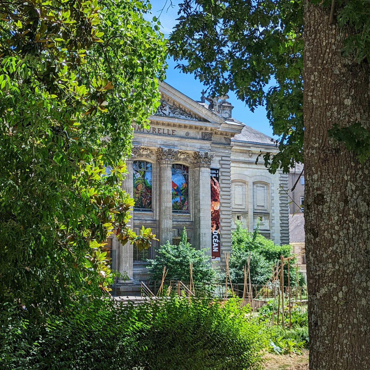 Muséum d'Histoire Naturelle de Nantes