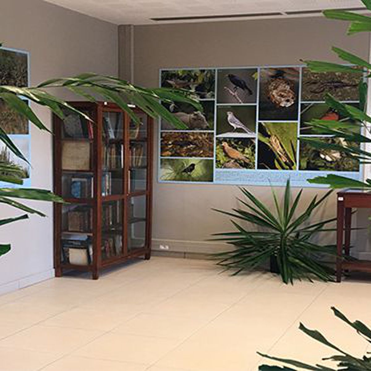 Musée du Père Pinchon