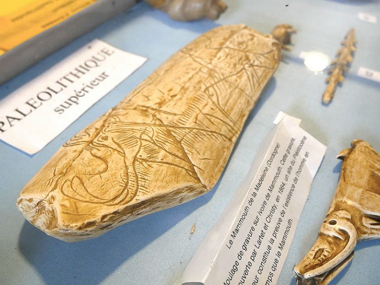 Musée du Savignéen