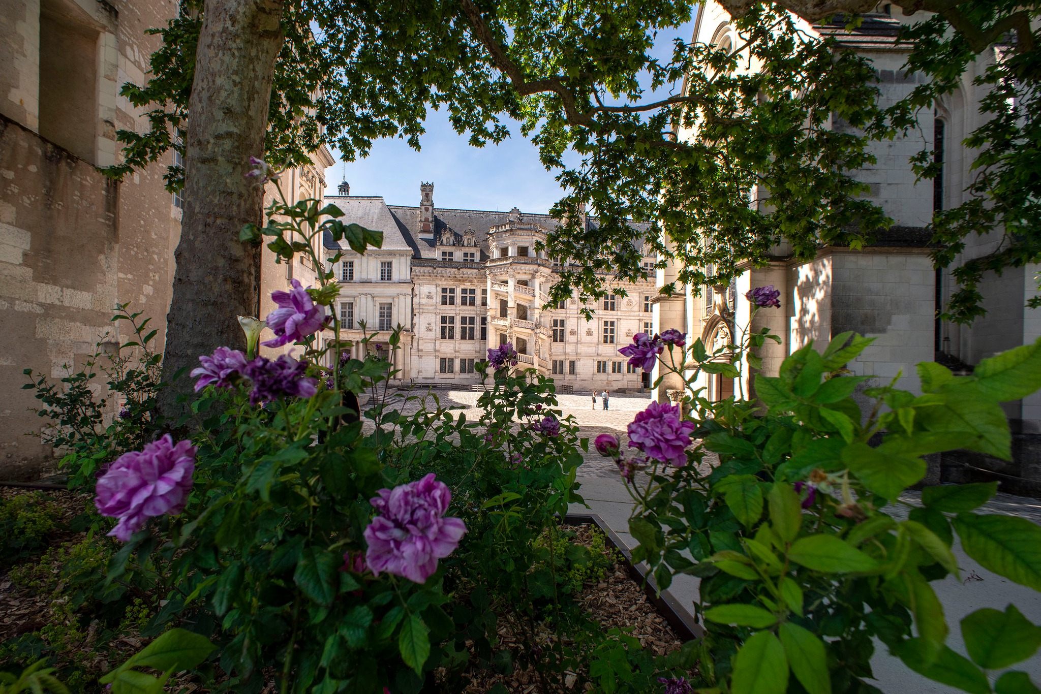 Château Musées de Blois