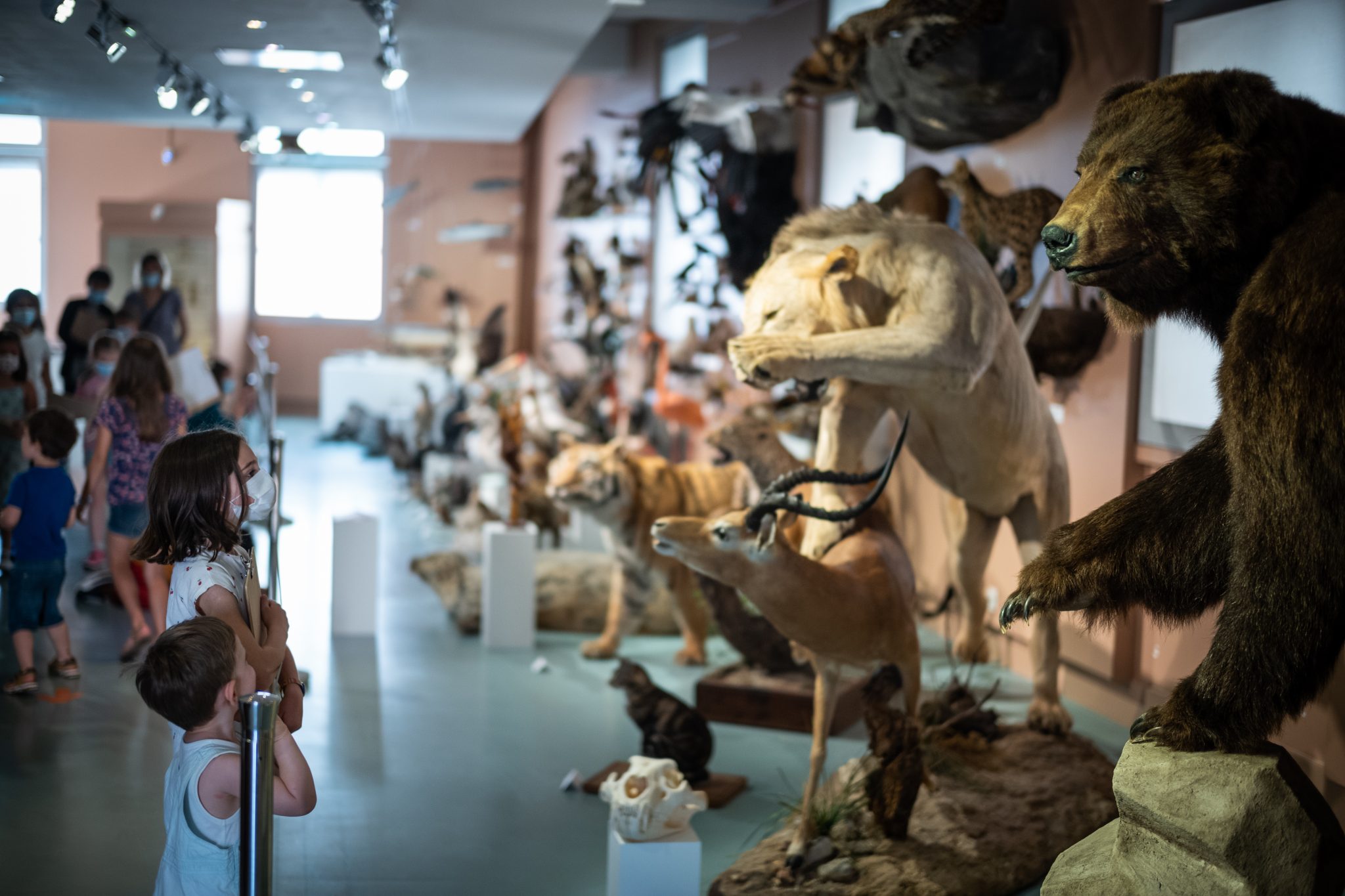 Muséum d'Histoire Naturelle