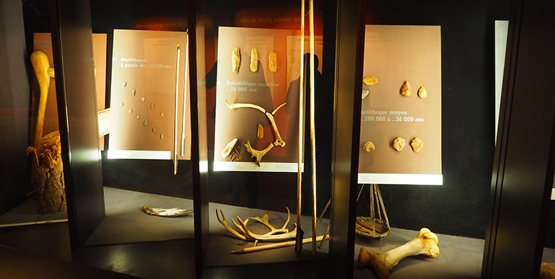 Musée d'Histoire Naturelle Gabriel Foucher