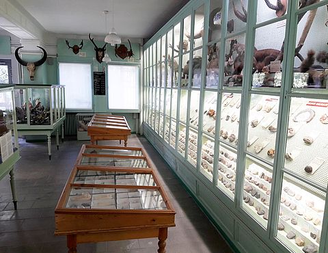 Muséum Emmanuel Liais