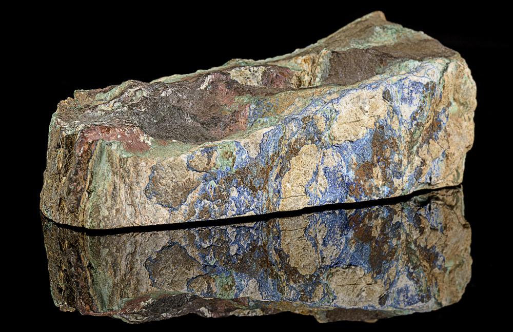 Muséum d'Histoire Naturelle