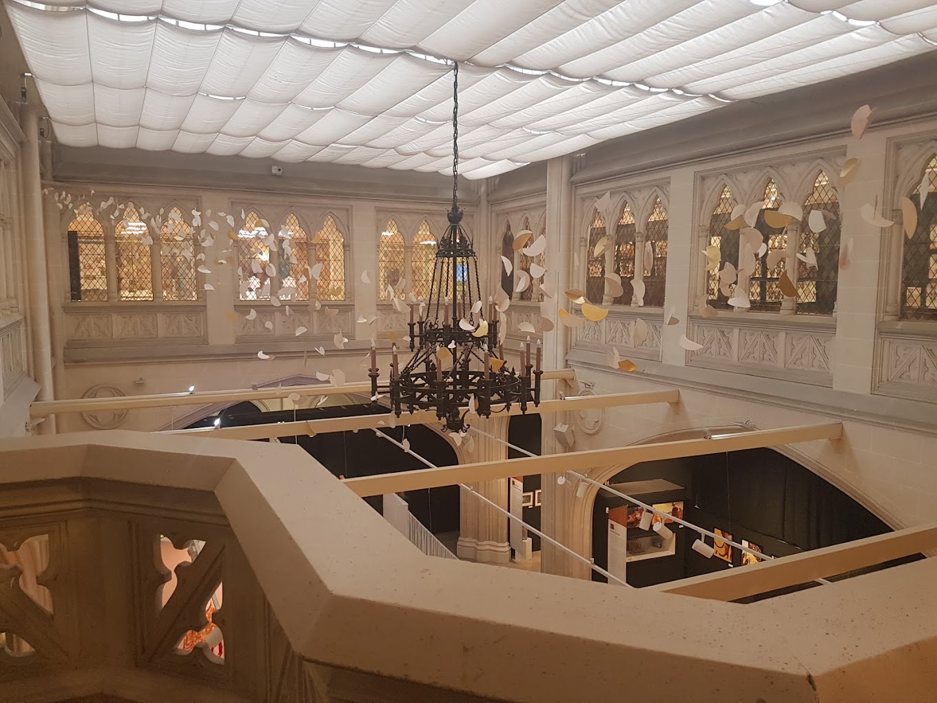 Musée des papillons