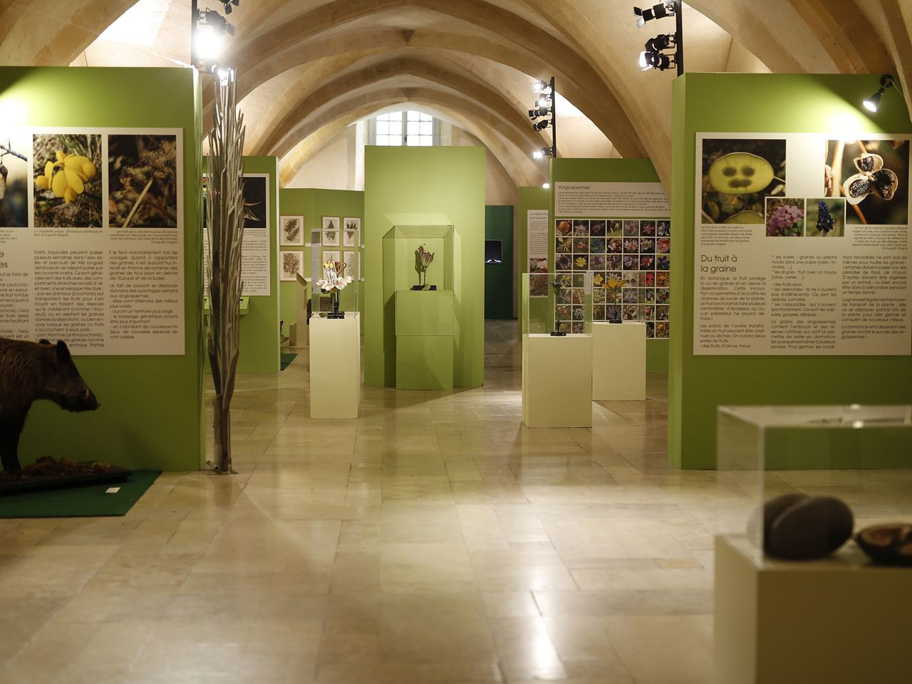 Muséum d'Histoire Naturelle