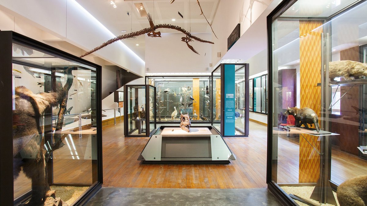 Muséum-Aquarium de Nancy