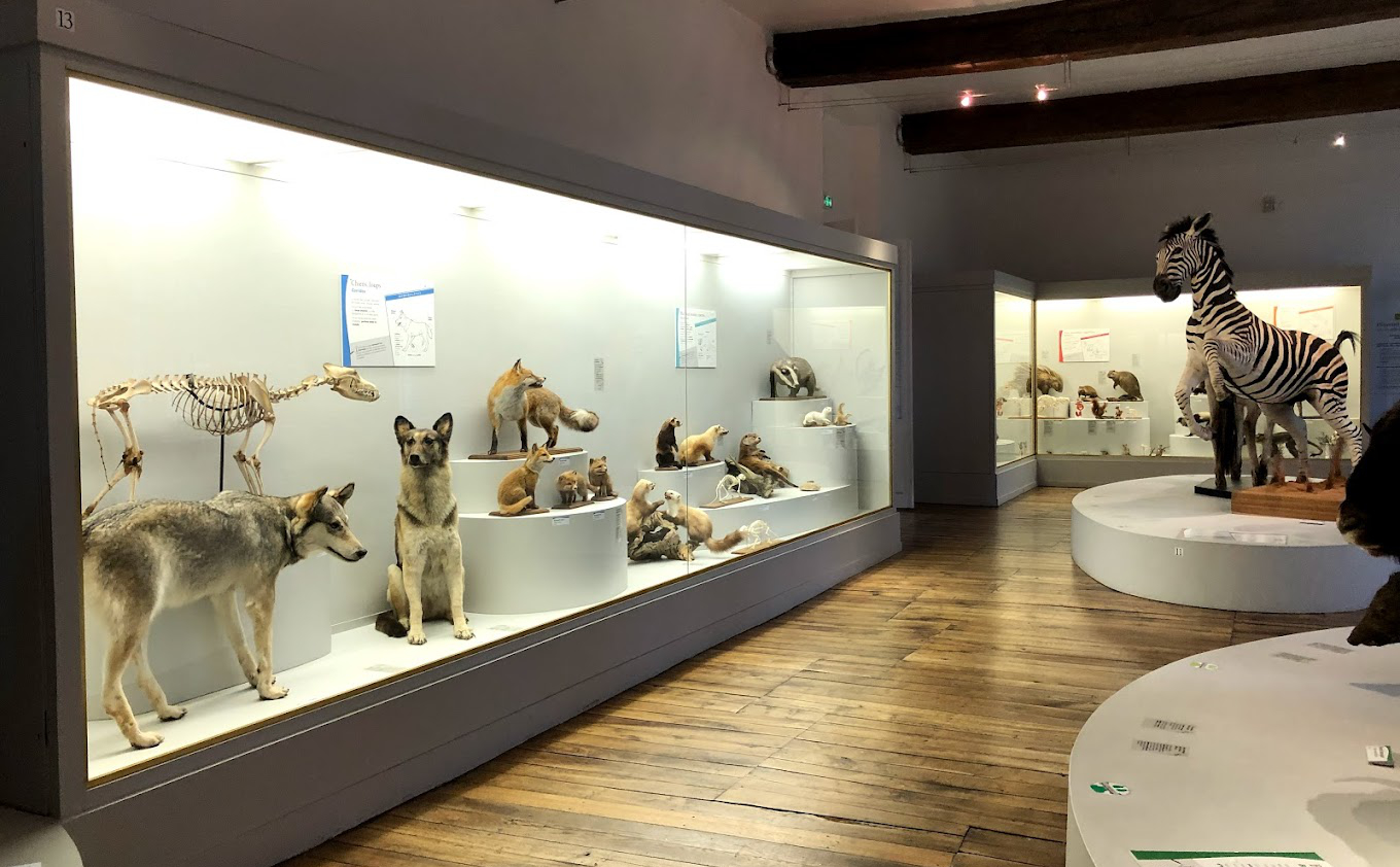 Muséum d'Histoire Naturelle