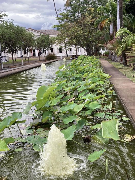 Muséum d'Histoire Naturelle