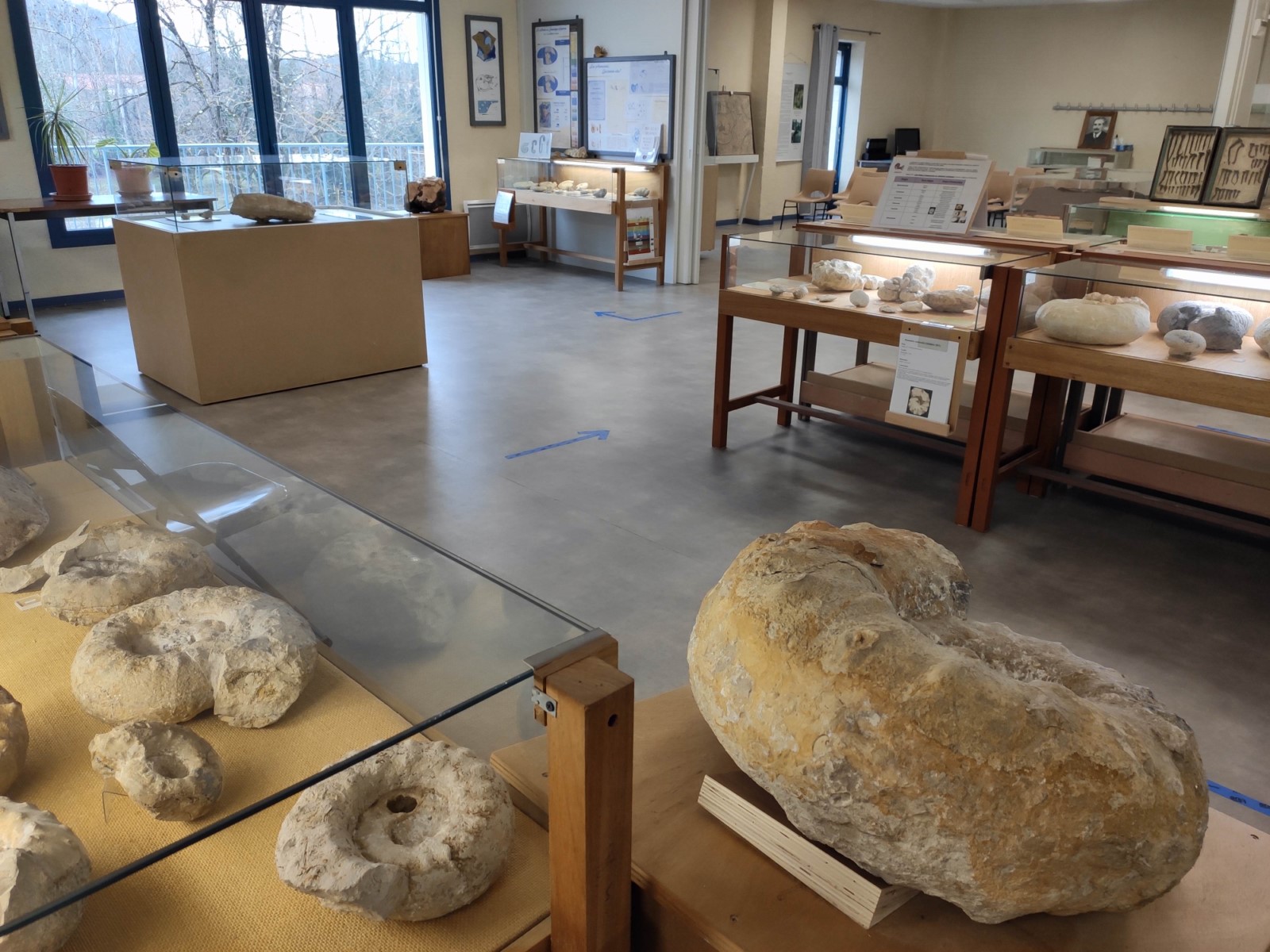 Musée Archéologique "Armand-Viré"