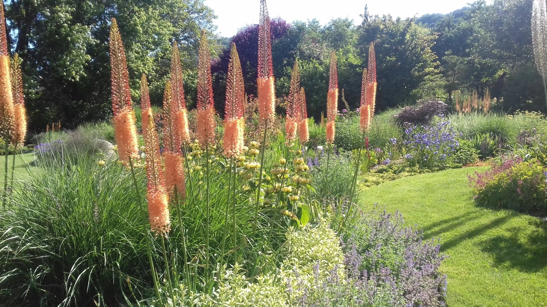 L'Atelier Jardin de Corinne, Marc et Julien