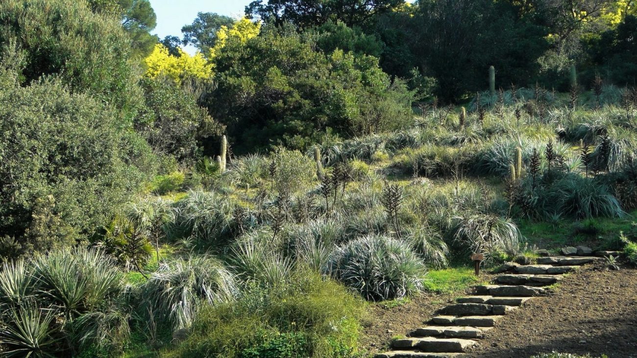 Domaine du Rayol