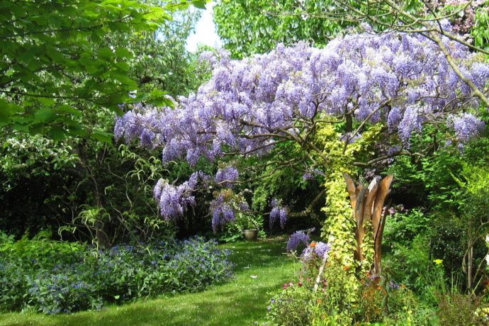 Le Jardin de Landon