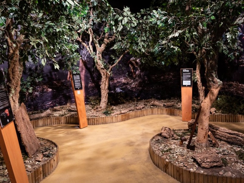 Musée du Liège et du Bouchon