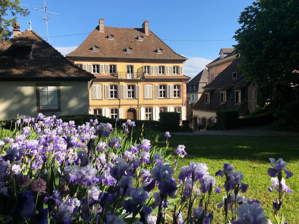 Musée de la Folie Marco