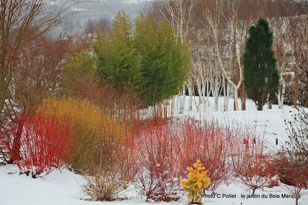 Jardin du Bois Marquis