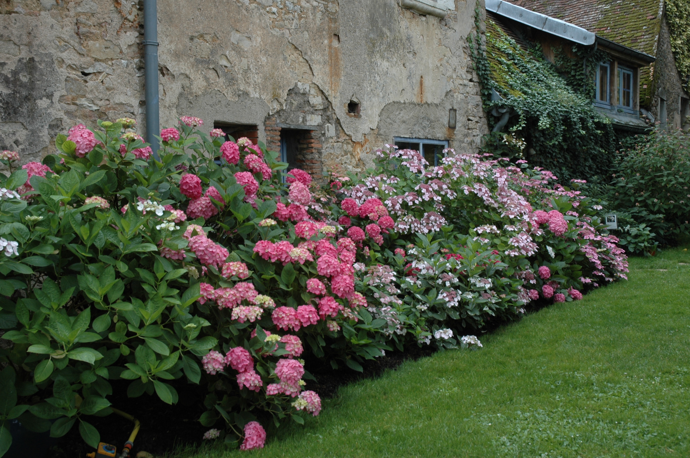Les jardins de la collection Annabelle