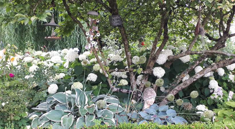 Jardin "le clos ballot"