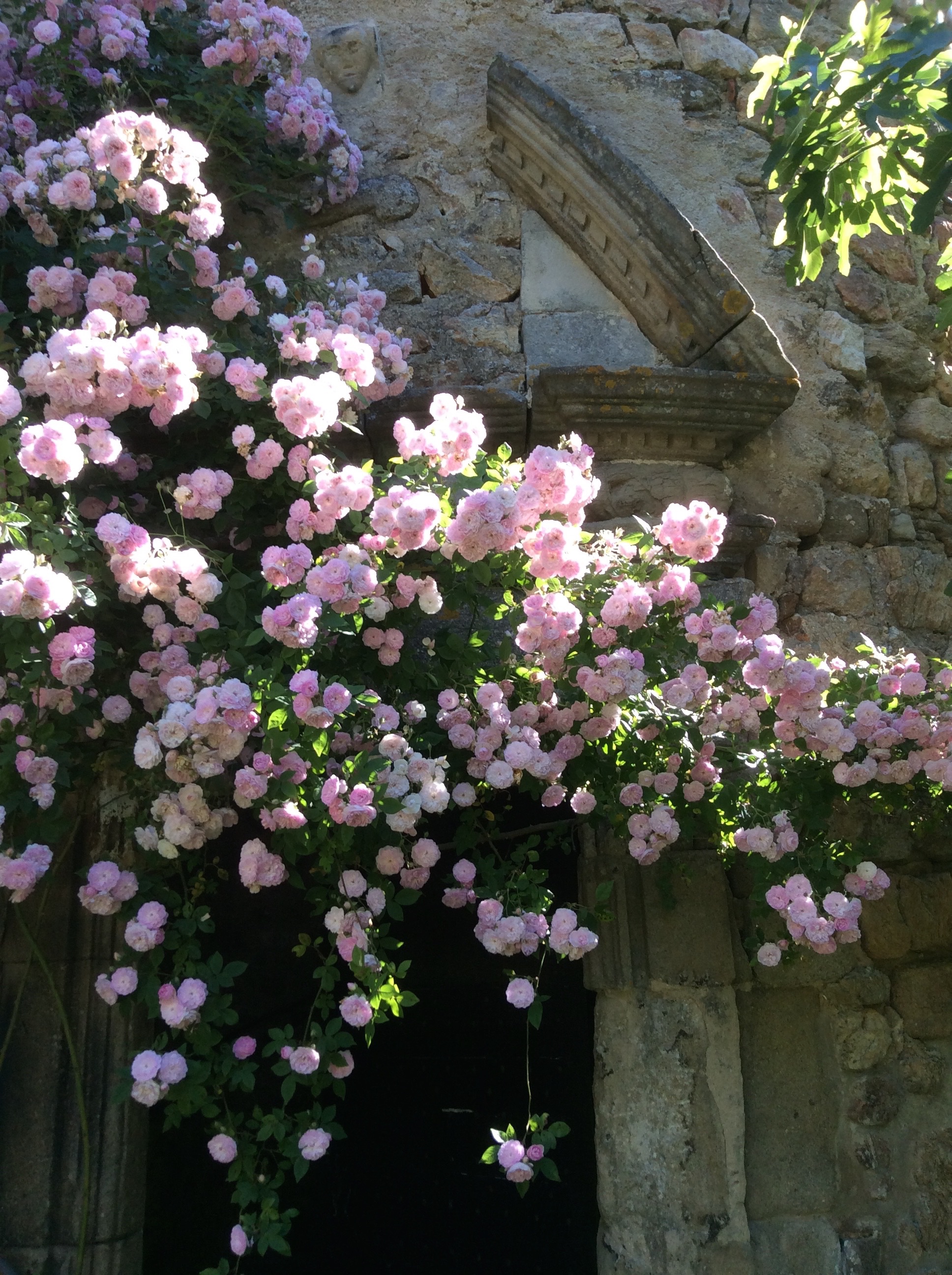 Château et jardins du Pin