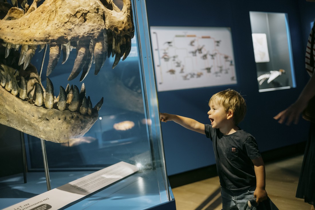 Muséum - Jardin des Sciences