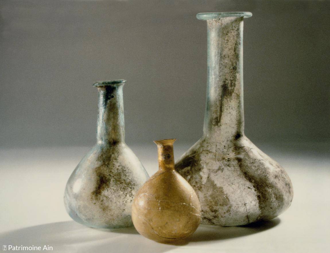 Musée de la Société d'Histoire et d'Archéologie