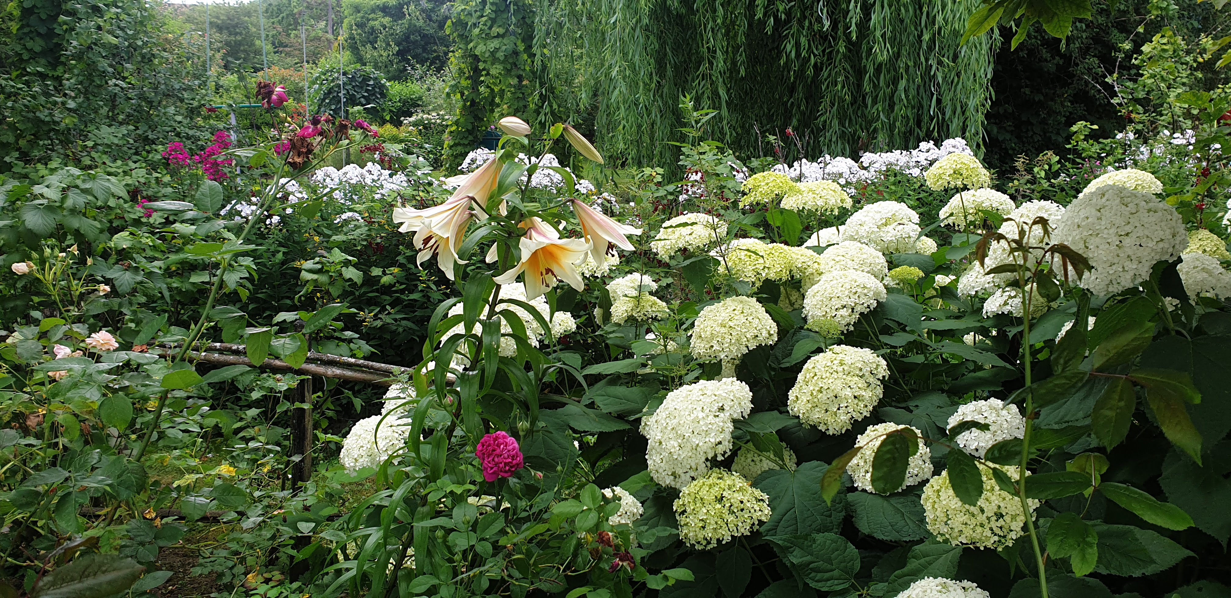 Jardin "le clos ballot"