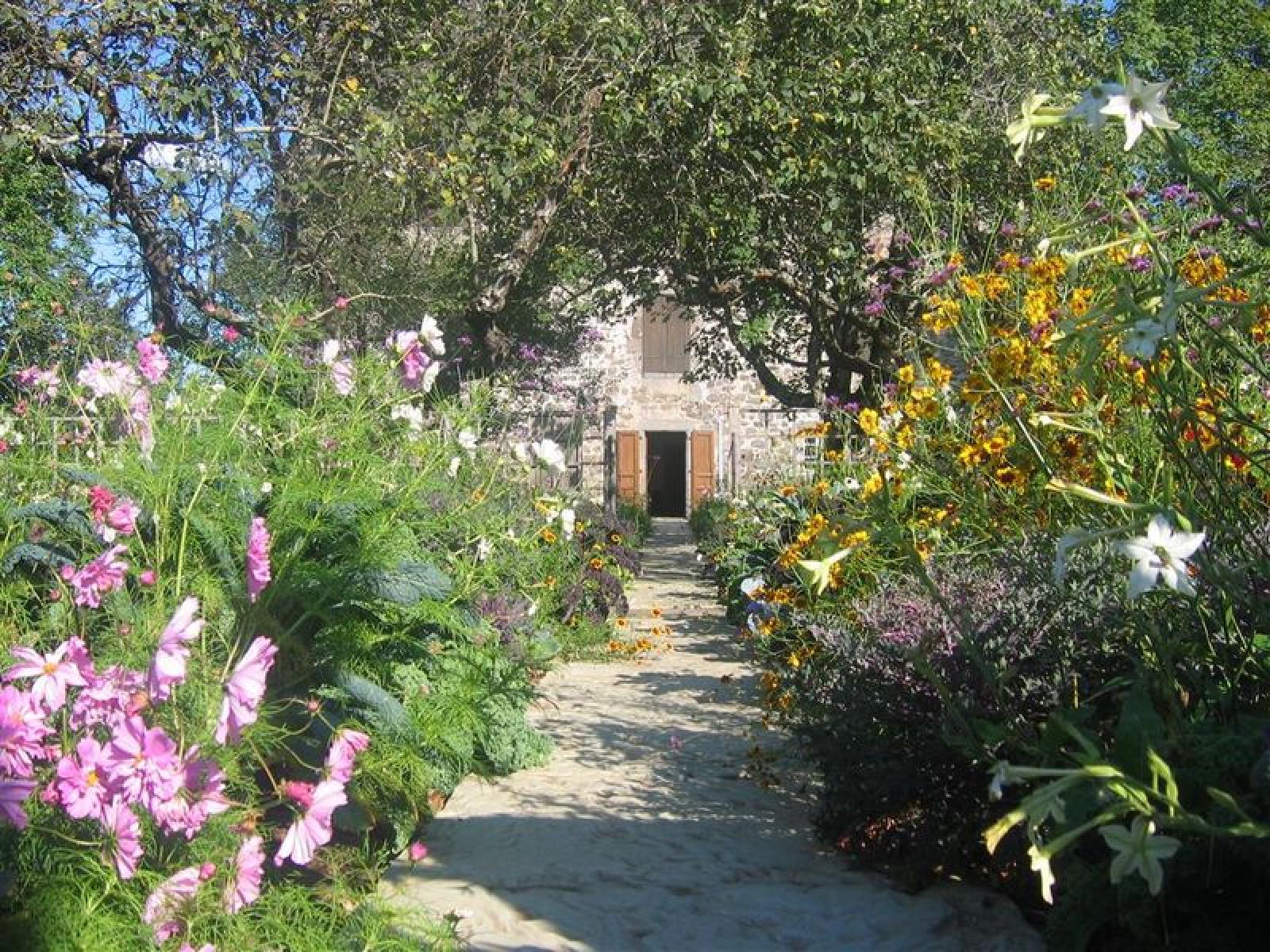 Verger de Déduit - Château de la Trémolière