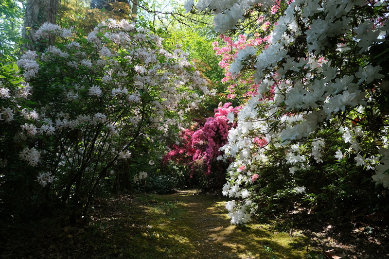 ARBORETUM de BALAINE