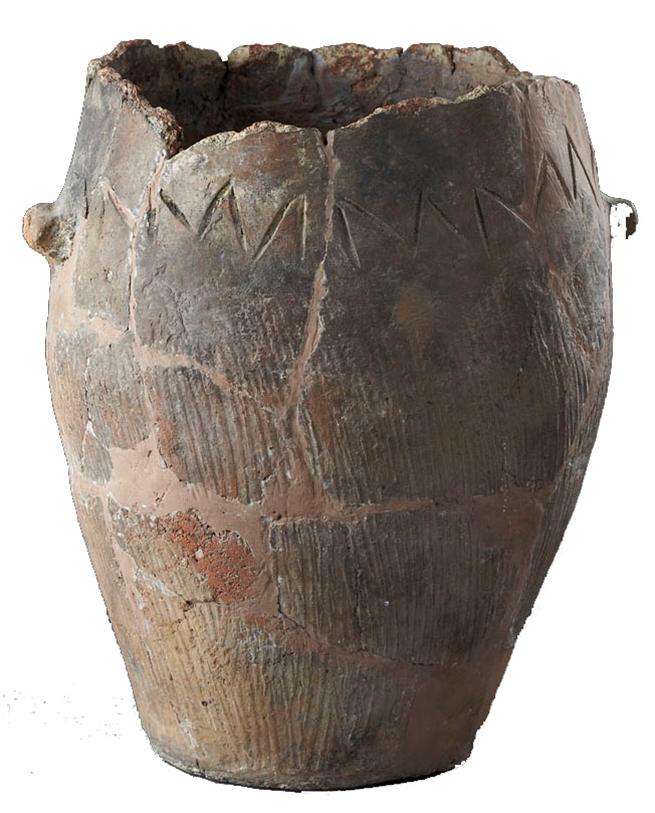 Musée des Corbières