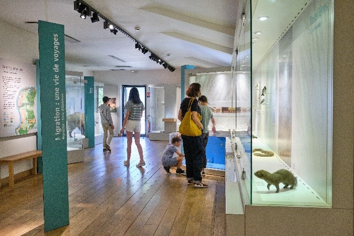 Muséum d'Histoire Naturelle