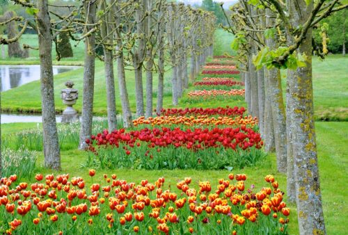 Musée et Jardins du Château de Vendeuvre