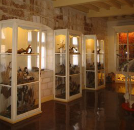 Musée de la Maison Romane