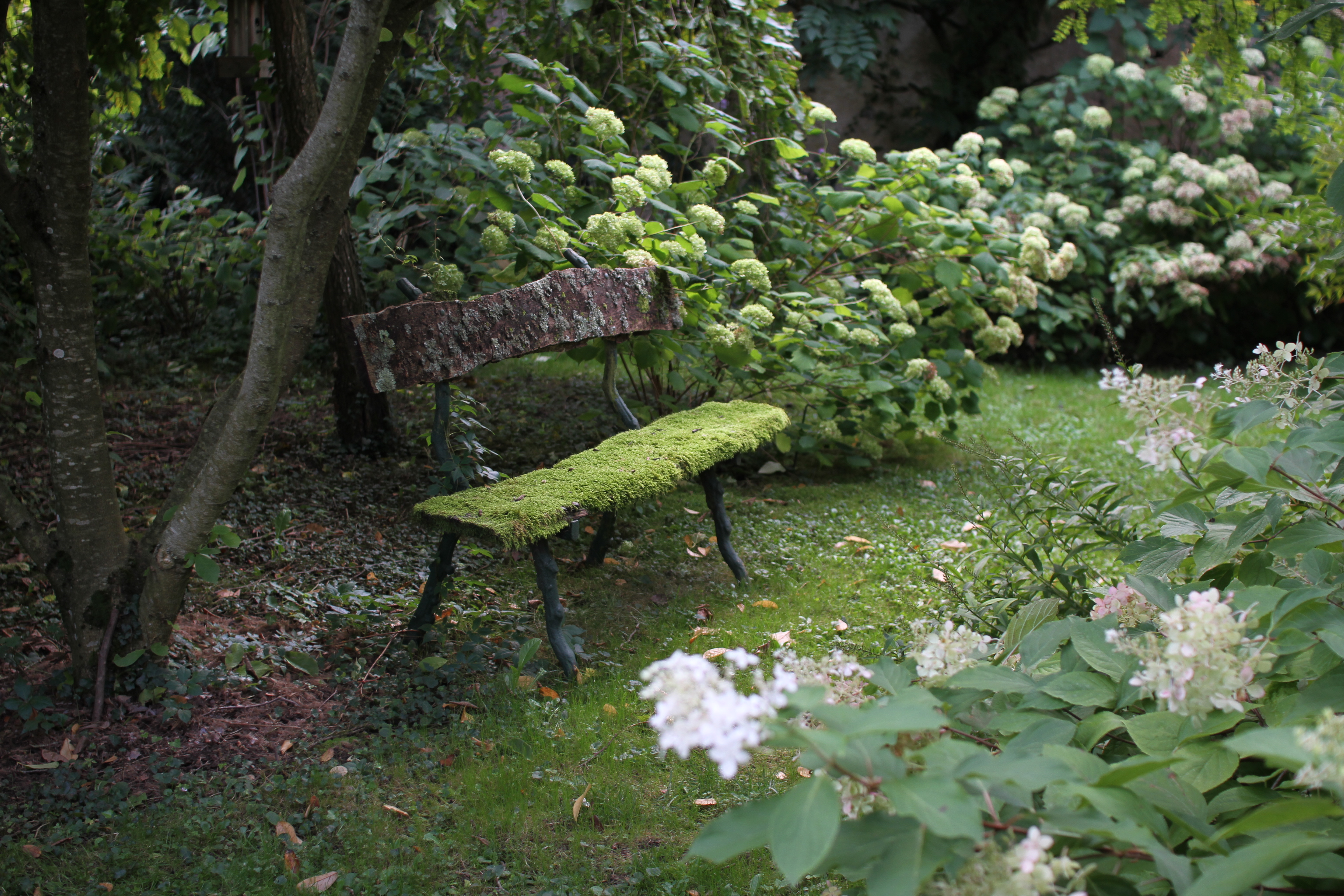 Les jardins de la collection Annabelle