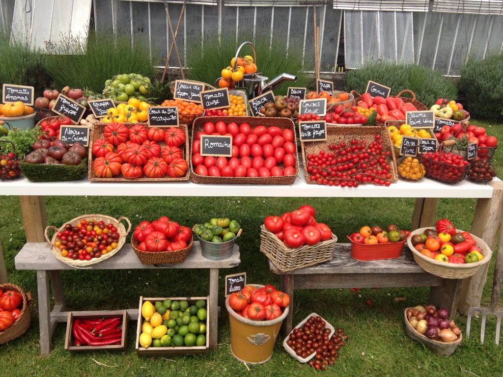 Château de la Bourdaisière