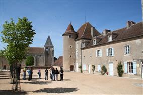 Musée Ornithologique (Ecomusée de la Brenne)
