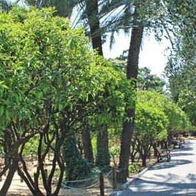 Palais de Carnolès - Musée des Beaux-Arts