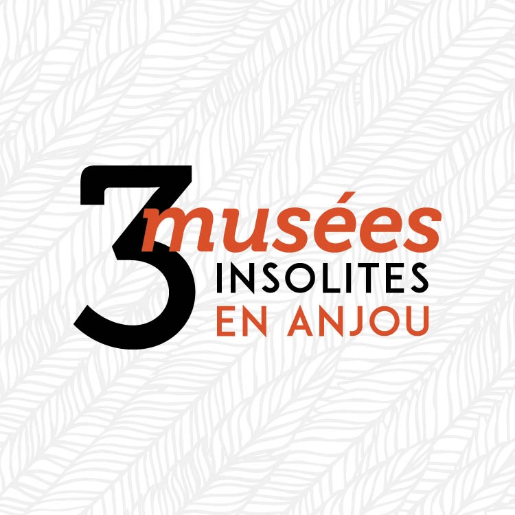 Musée d'Art et d'Histoire