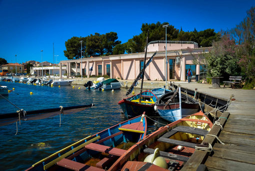 Musée de l'Etang de Thau