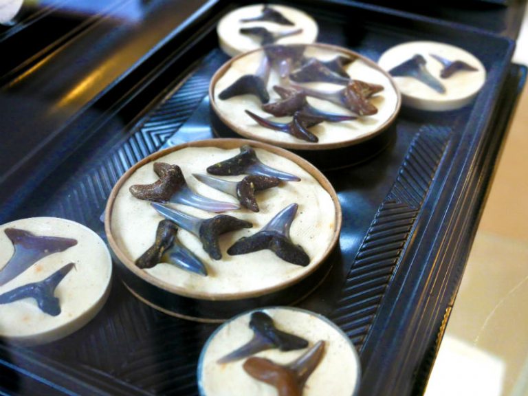 Musée du Savignéen